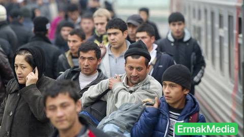 СТОП  НЕЛЕГАЛ