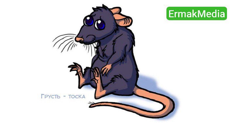 Это всё грызуны виноваты!