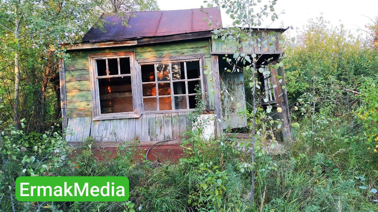 Хоть трава не расти