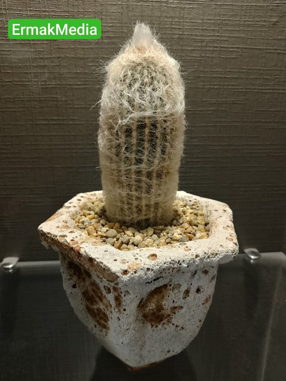 Каждый думает в меру своей испорченности