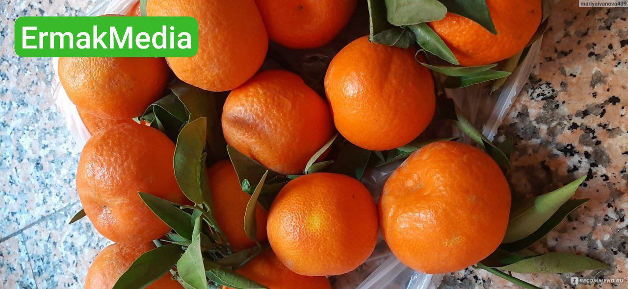 Оранжевое настроение 