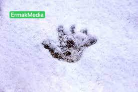 Грудного ребенка нашли в сугробе.