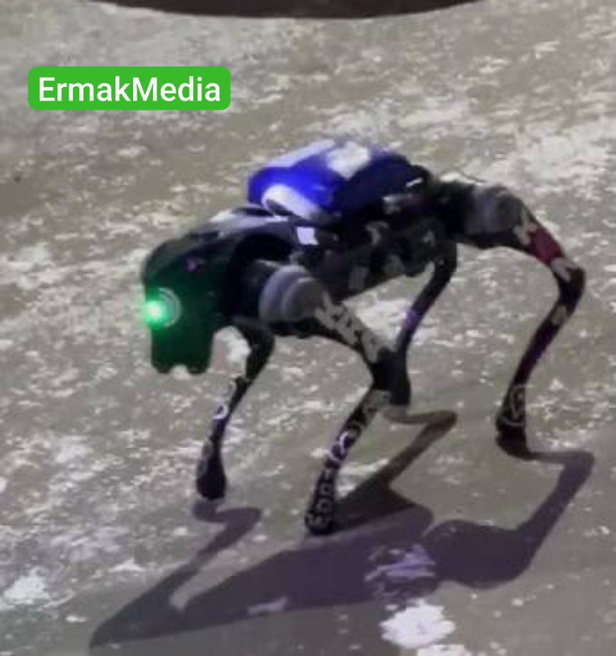 Робот-курьер задержан столице