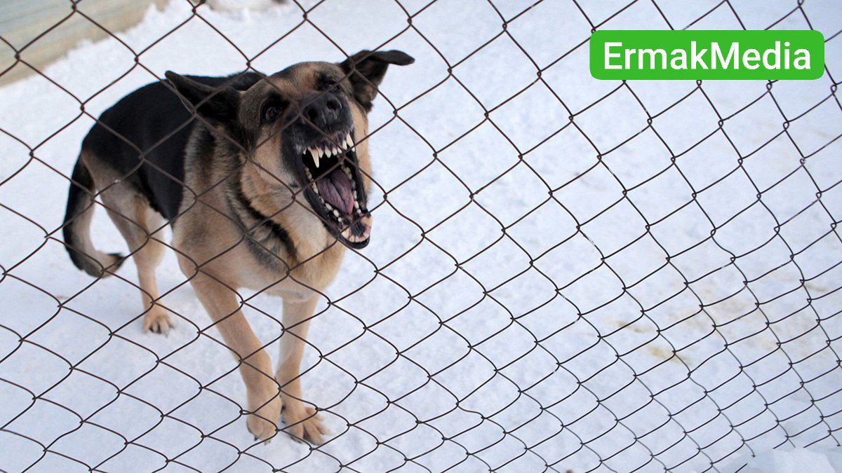 Давно пора это сделать