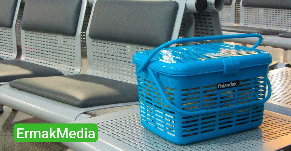 Вывоз заморского фрукта могут ограничить