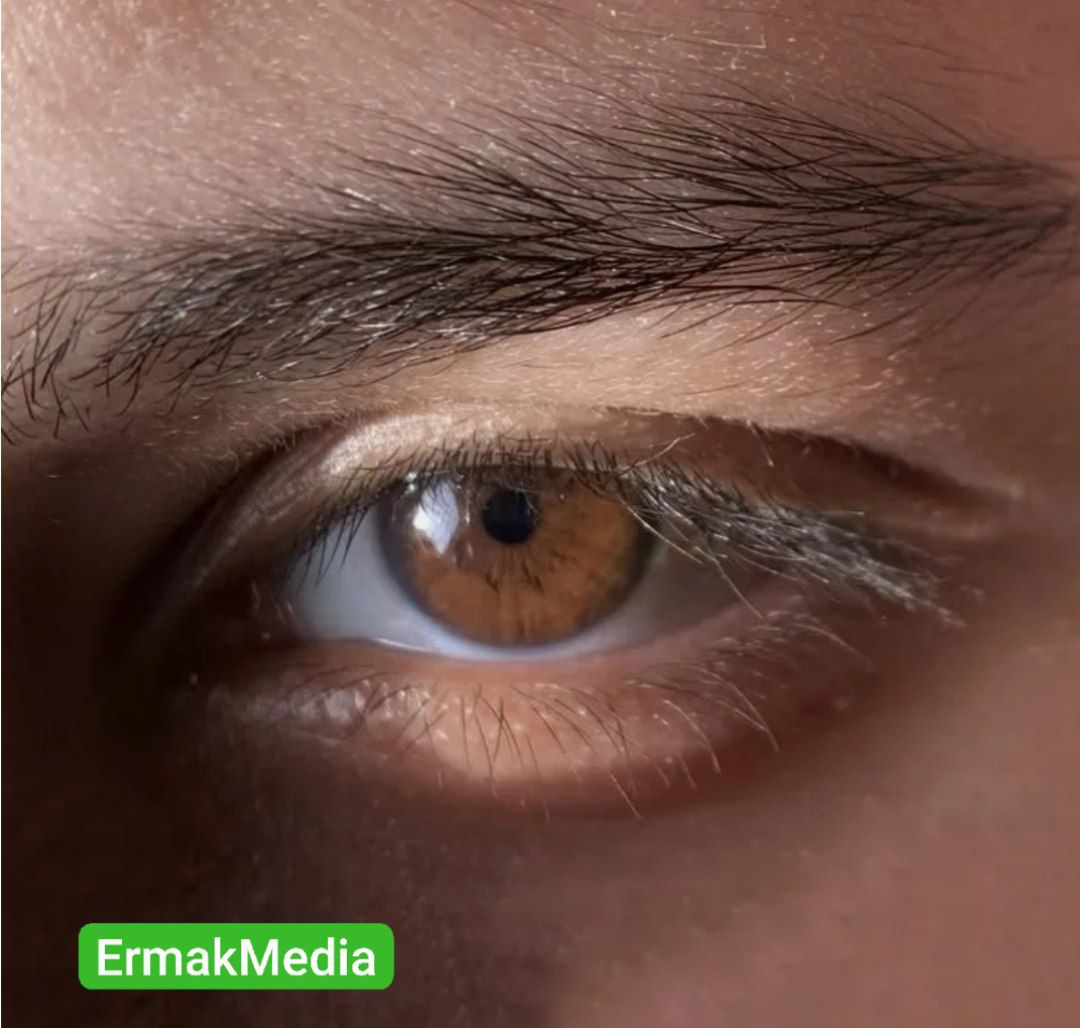 Зри в корень