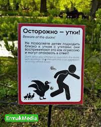 Месть пернатых 