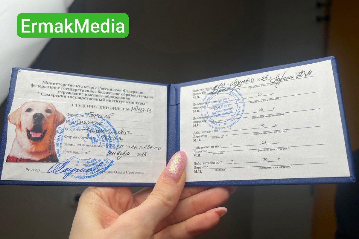 Пёс студент 