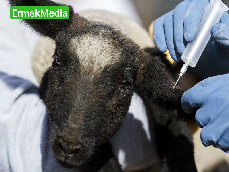 Театр одного актера 