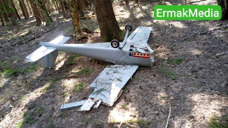 Подснежники прилетели 