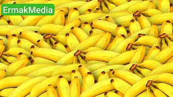 Кокаин вместо бананов доставили на овощебазу