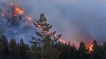 Из-за непотушенной сигареты загорелся целый лес в Бурятии