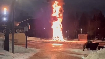 Пожар в Химках: новогодняя ель загорелась из-за короткого замыкания