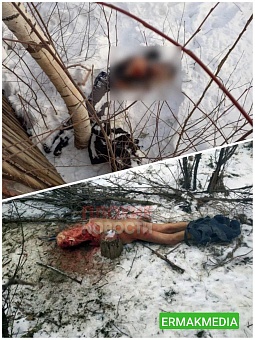 Жители страны массово жалуются на собак людоедов  