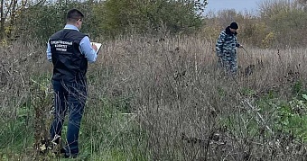 Поиск убийцы 12-летней девочки 