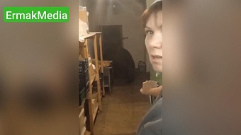 Медведь проник в пекарню и съел 125 пирожков 