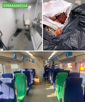 Труп новорожденного обнаружен в московской электричке 