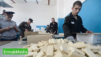 Кадровый дефицит решили восполнять за счет заключенных 