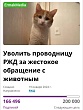 Печальная история кота Твикса еще не закончилась