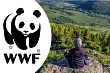Всемирный фонд природы внесён в реестр иноагентов    