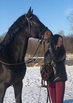 Конюх похитил и пытался вывезти 16-летнюю наездницу в Узбекистан