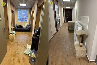 Необычная ситуация: жительница Москвы обустроила свое жилье прямо в подъезде