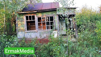 Хоть трава не расти