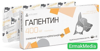 Новое опасное развлечение 