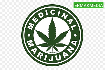 В американском штате решили узаконить марихуану для школьников