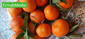 Оранжевое настроение 