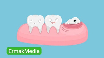 Сэкономили на мудрости 