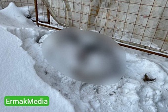 Искала любви, а оказалась в морге