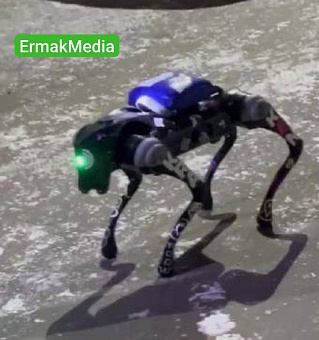 Робот-курьер задержан столице