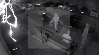 Трагедия в Звенигороде: Мужчина смертельно ранил хозяина собаки из-за ее лая