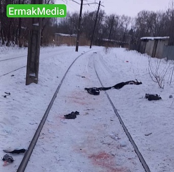 В Хабаровске собаки загрызли мужчину 