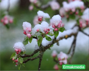 День прозевал- урожай потерял