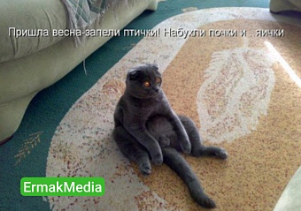 Пришла весна, запели птички, набухли почки и яички 