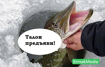 Еда по талону