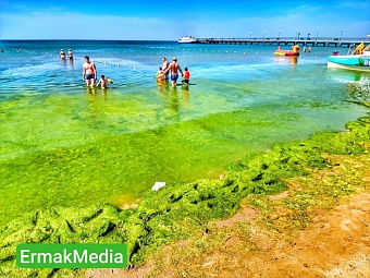 Недостаточно черное