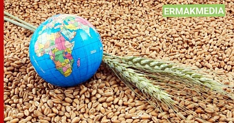 Россия наращивает экспорт пшеницы  